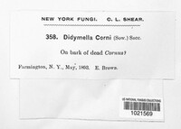 Image Associated With the Occurence